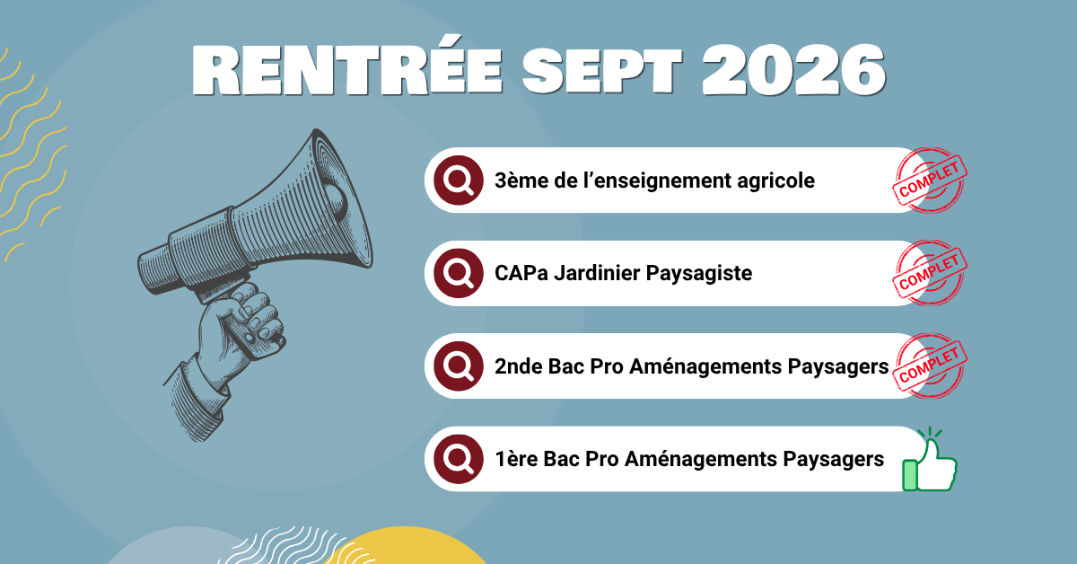 Effectifs rentrée 26